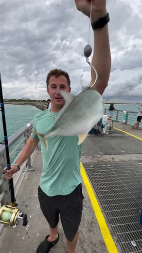 Epic Fishing Adventure: Catching a Giant Fish