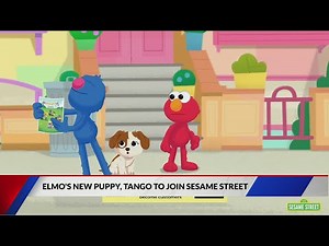 Elmo on 'Sesame Street' gets a puppy