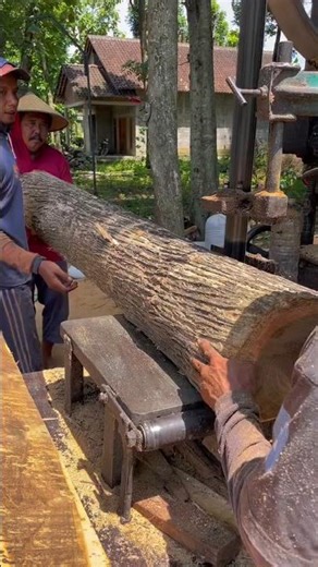 beautiful wood grain! wood slicing skills with super sharp circular saw machine #sawmill #mahogany