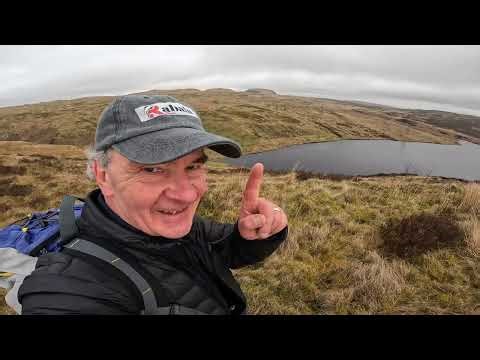 This week I talk the walk .