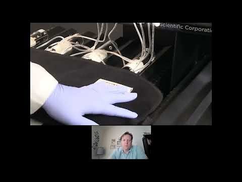 Noninvasive Blood Pressure Monitoring Using Kent Scientific’s CODA Systems