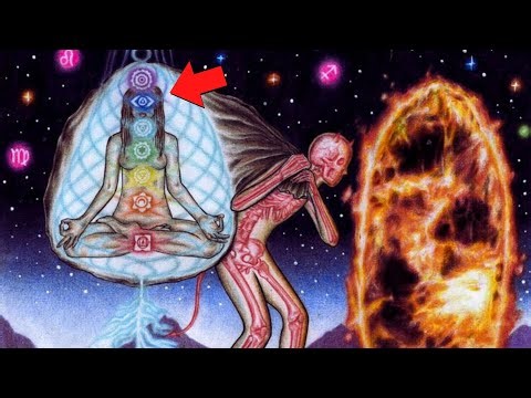 You're in a Simulation of "False Perception": Here's how to Exit it.