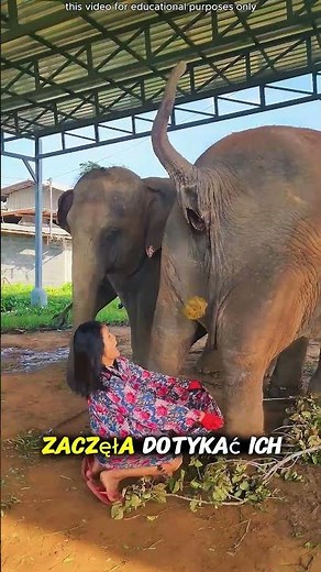 Look—the farmer's poor but adorable daughter. #shortsvideo