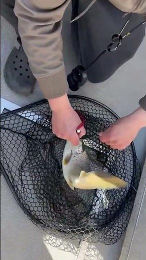 Easy Out Fish Hook Remover