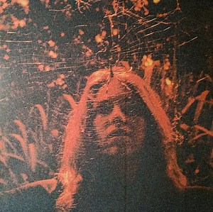 Turnover - Peripheral Vision
