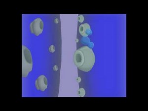 Normal Serotonin Functioning (How ecstasy works Part 1)