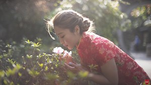 Are Modern or Vintage Lenses Better for Your Work?