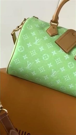 #louis Vuitton handbags different colors unboxing review