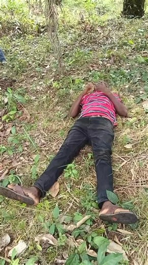 animals are unpredictable and can cause injuries through kicks, bites, or trampling. Snake ooo #farming #life #ContentMonetization #highlight | Samuelson Agro Konnect