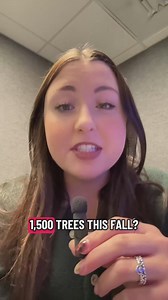 Residents in south Toledo push back on city's tree planting program