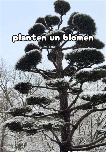 Discovering Hamburg: A Gem of Germany