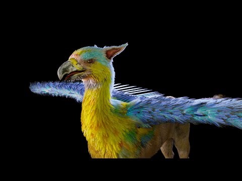 🦅 Mystic Griffin 🦁 Feather Groom with Yeti 🪶