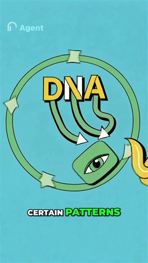 How DNA Literally Draws a Suspect’s Face 🧬 #forensics #forensicscience #truecrime #stem #science