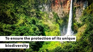 2.9K views · 124 reactions | Have you heard of the island of Sumatra? ️ This tropical island was added to the World Heritage List in Danger in 2011. Find out why! | UNESCO | Facebook