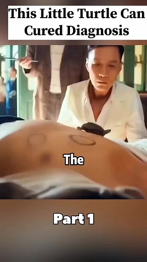 331K views · 2.3K reactions | This Little Turtle Can Cured Diagnosis #reelsvideoシ #reeels #storytelling #video #viral #story #recap #short Story recap | Story recap | Facebook