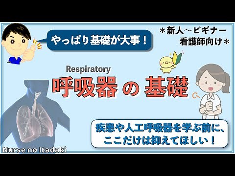 【呼吸器の基礎】疾患や人工呼吸器を学ぶ前に！