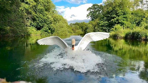 Fasten your seat belts, stow your tables and prepare for landing ❤️ | Into the Wild, Photography by Gary Saunders