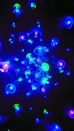 Unveiling the mesmerizing bioluminescent creatures of the deep sea #aquatic #bioluminescence #ocean