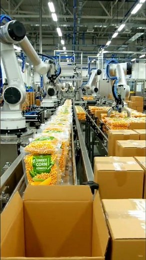 How Millions of Sweet Corn Kernel Packets are Made Daily #shorts