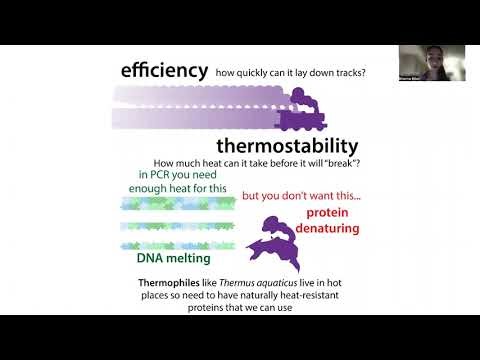 PCR (Polymerase Chain Reaction) - a comprehensive overview with tips to help it work well for you!