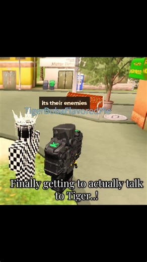 Conversation with Tiger in the Roblox Myth Community