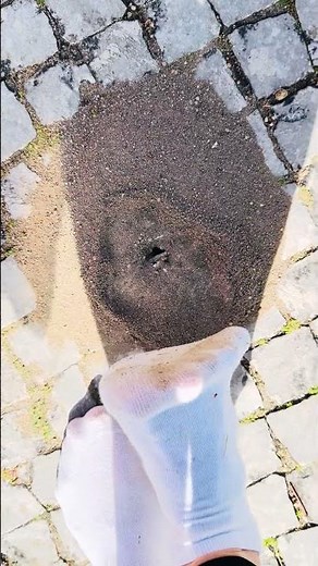 White Socks Walk… Then I Found Something 🐜