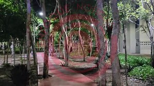 12K views · 297 reactions | #Tulum | Dos personas del sexo mascilino fueron ejecutadas a balazos en calle Aquamarina, manzana 77 del fraccionamiento Aldea Tulum | Enfoque Noticias Tulum | Facebook