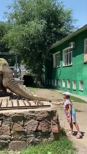 30 ноября 2025 г.