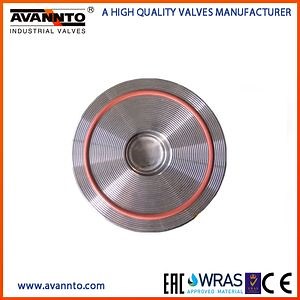 [Hot Item] Water Wafer Type Spring Swing Check Valve Pn40 Non Return Valve Stop Valve for Industrial Control