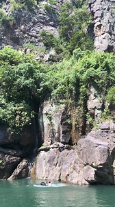 Man vs monkey 🐒🐒 20M views #animals #monkey #viralreelschallenge #viralvideochallenge #videos #challenge | Arthi Malhotra