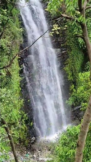 This Waterfall is Pure Heaven 😳 | Darhal, Rajouri 🇮🇳 #shorts #shortsfeed #darhal #rajouri #india