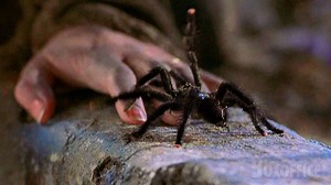 5.9K views · 104 reactions | Talk about an underrated Robin Williams performance. | Boxoffice Movie Scenes | Facebook