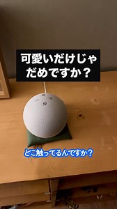 うちのアレクサはシンギュラリティを迎えた on Instagram: "可愛いだけじゃだめですか？ #アレクサ #アレクサシンギュラリティ #AI #コント #ネタ #スマートスピーカー #おもしろ動画 ※アレクサのこの様な返答はシンギュラリティーを迎えた境地の成せる業です。通常のアレクサには決して出来ませんのでご了承下さい。"