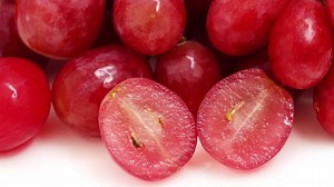 55K views · 421 reactions | Tomato: Fruit? Vegetable? Berry? Animal?...