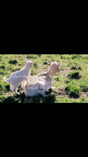 My Future: Living on a Farm with Lots of Animals