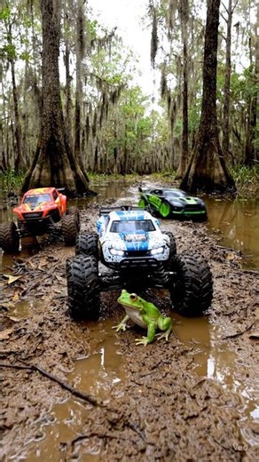 RC Adventure Texas Swamp – Frog Meet Ep19 🐸 #RCAdventure #KidsAnimals #Shorts