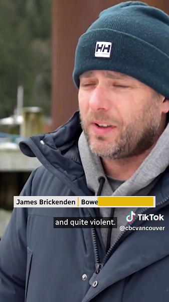 Bowen Island Ferry Collision Investigated After Boat Damage