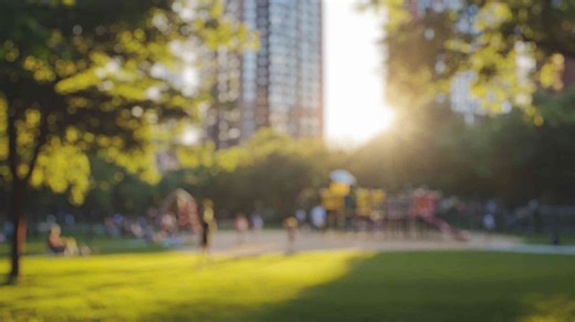 Fortes chaleurs : à Paris, moins de mortalité dans les arrondissements les plus végétalisés