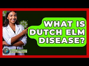 What Is Dutch Elm Disease? - Earth Science Answers