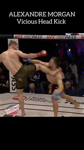 Head Kick KO! #ufc #mma
