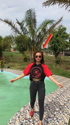 7.4K views · 58 reactions | Epic Pool Clips | Michael Yo | Facebook