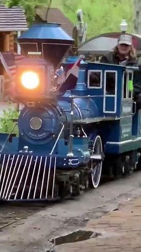 STL zoo blue train