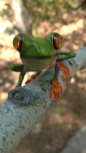 Tribal #fyp #frog #froggy #tribal #jungle | frog