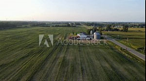 Farmstead with silos growing soybeans in massive green field, aerial view