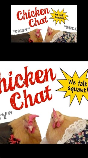 Christmas with the Flock #chicken #farmanimals #hilarious