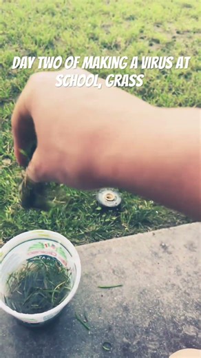 Day, two of making a virus at school, grass ￼