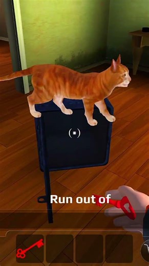 Scary Teacher 3D: The ULTIMATE Guide to EVERY Secret Cat Rescue Location!