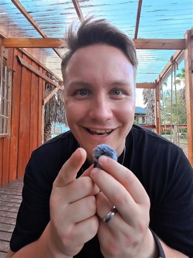 Discovering Forest Gate: Accommodation on the Garden Route