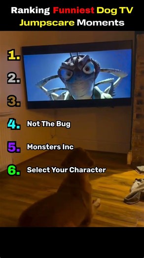 Ranking Funniest Dog TV Jumpscare Moments #funny #ranking