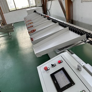 [Hot Item] Avocado Processing Line by Grading System for Packaging Centers